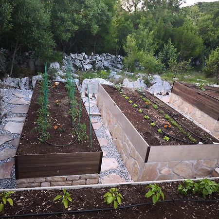 Villa Ilir Neum Εξωτερικό φωτογραφία