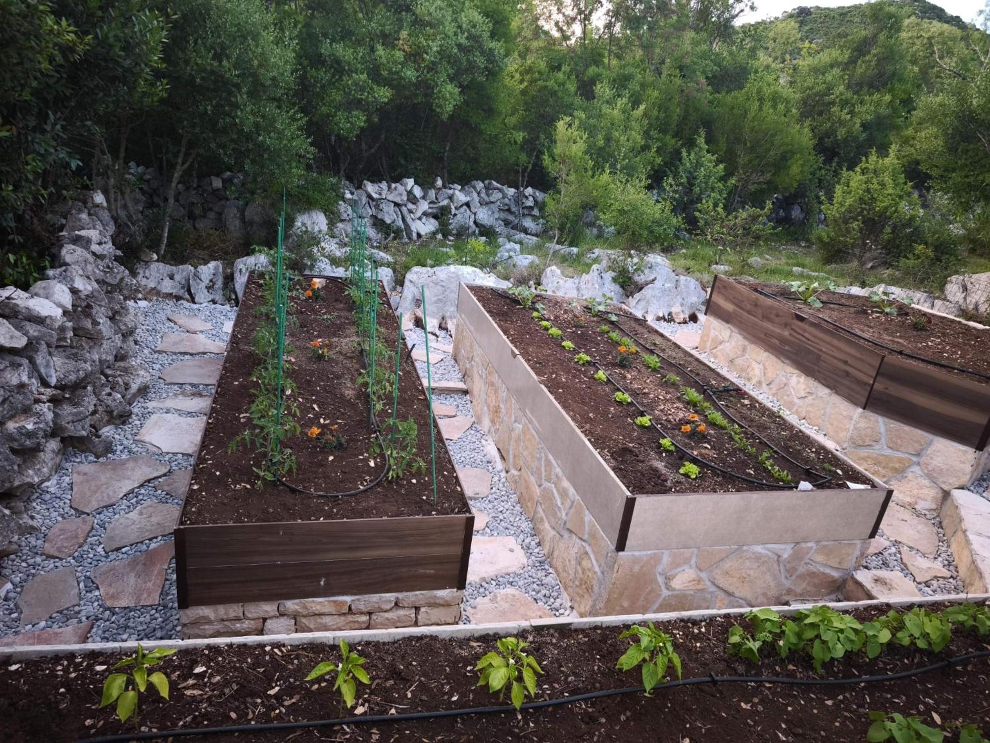 Villa Ilir Neum Εξωτερικό φωτογραφία